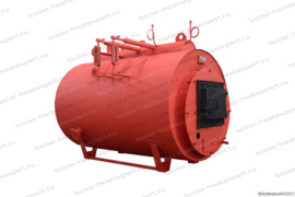 Паровой котел STEAMEXPERT 300 кг / 0.3 т 115 С угольный